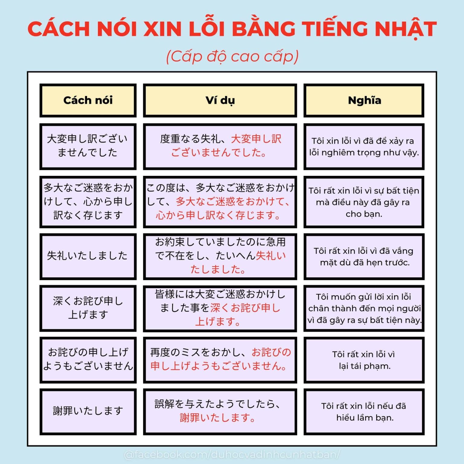 Các cách nói Xin Lỗi bằng tiếng Nhật (Có ví dụ)