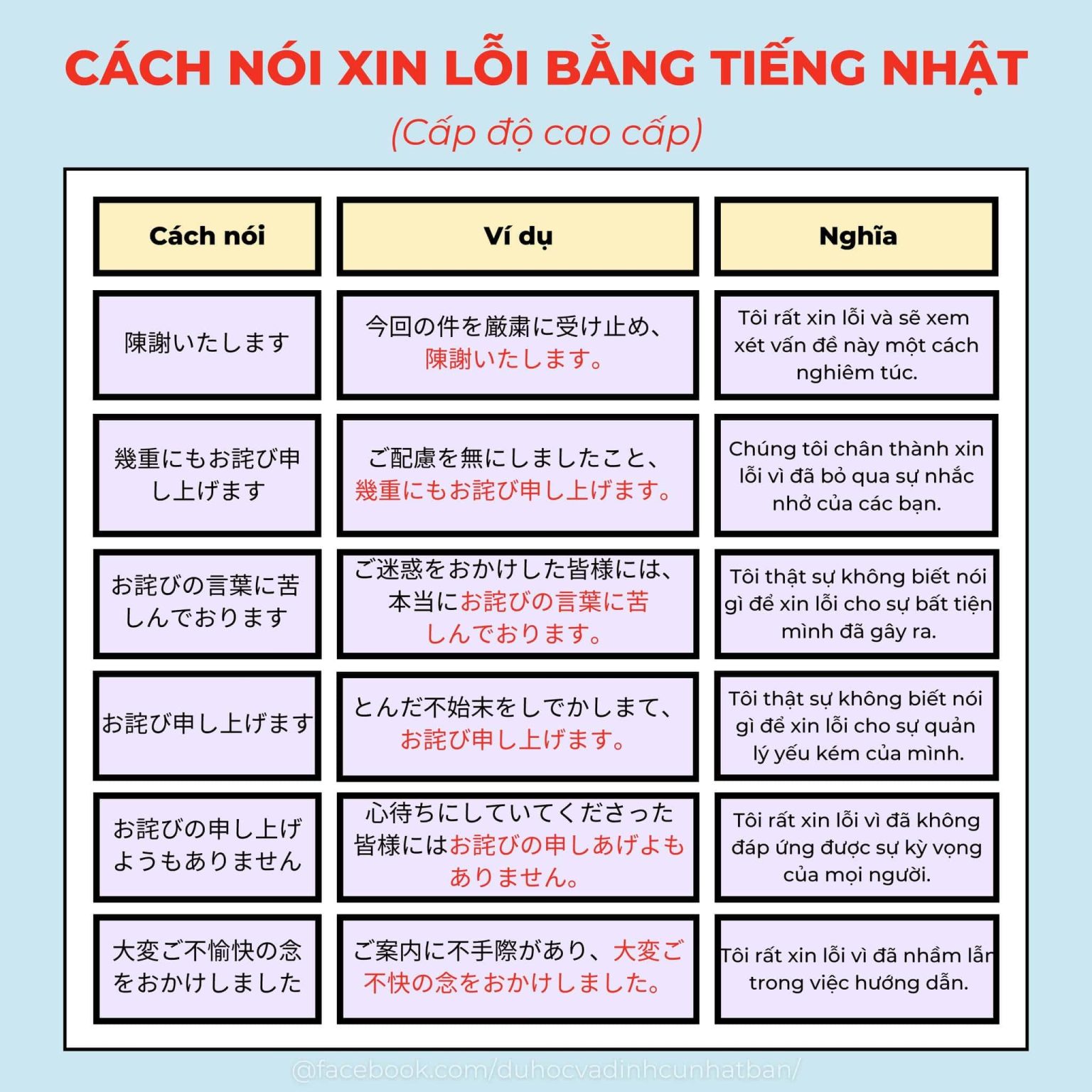 Các cách nói Xin Lỗi bằng tiếng Nhật (Có ví dụ)