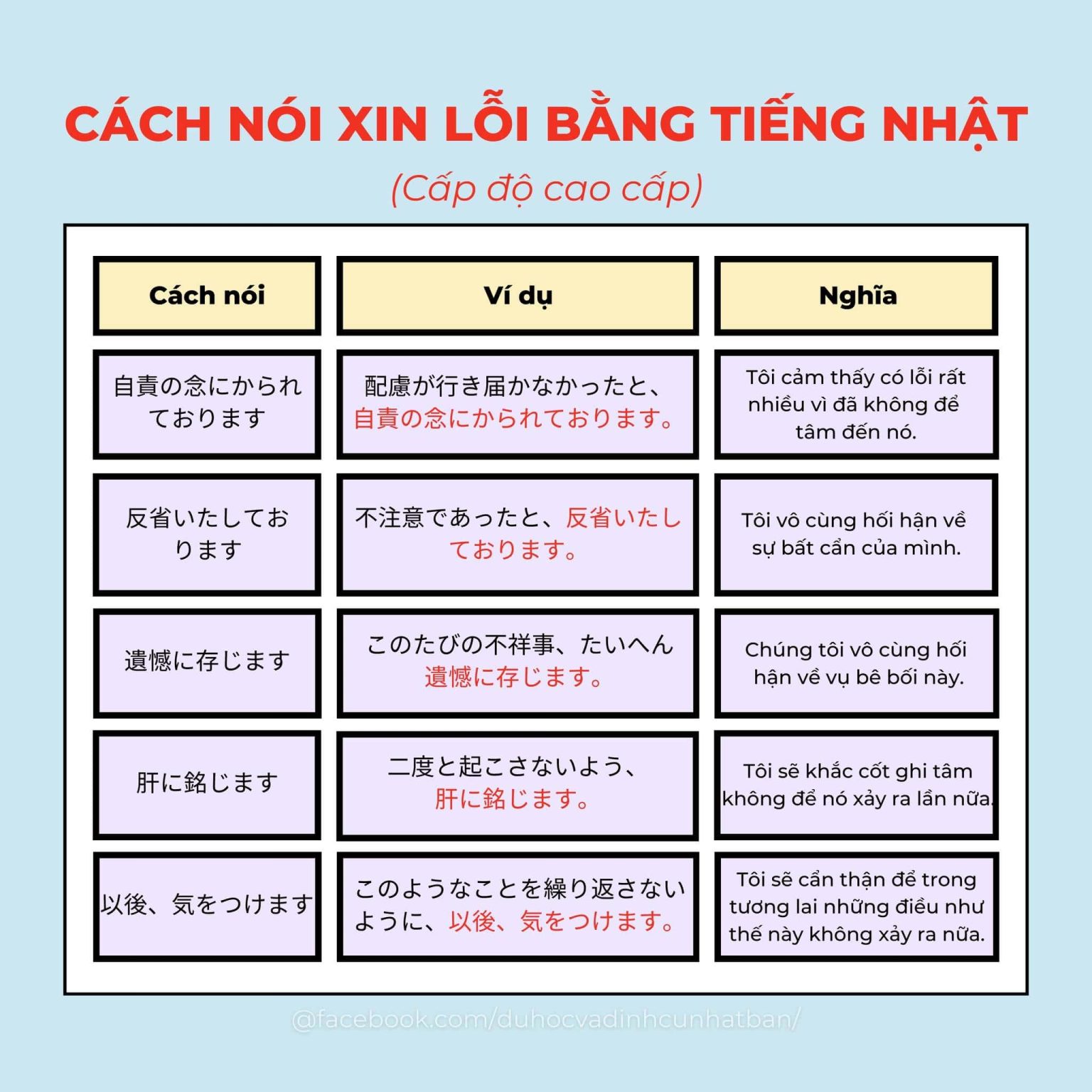 Các cách nói Xin Lỗi bằng tiếng Nhật (Có ví dụ)