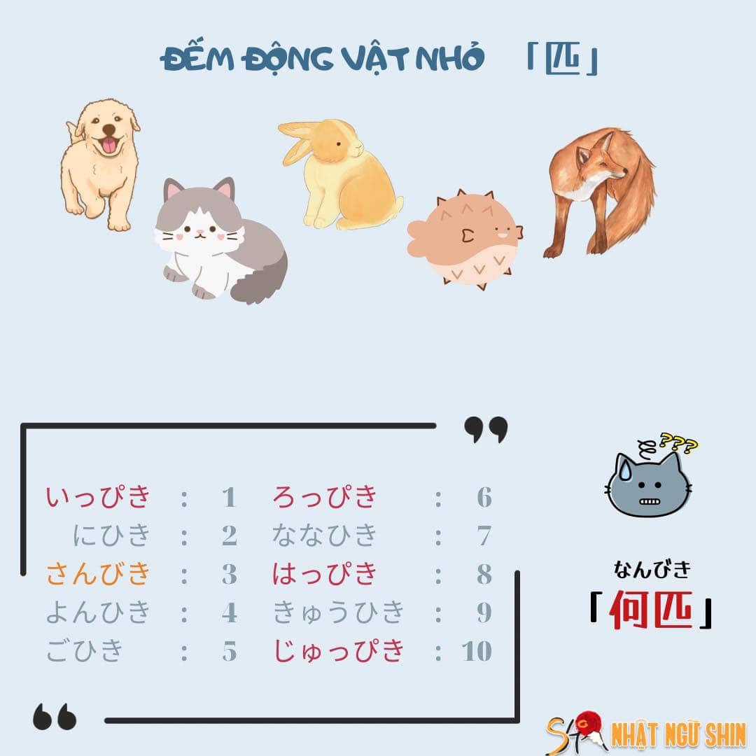 Cách đếm các đồ vật trong tiếng Nhật