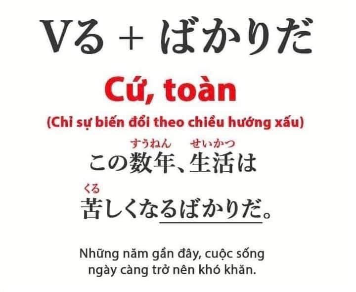 Tổng hợp Ngữ pháp ばかり