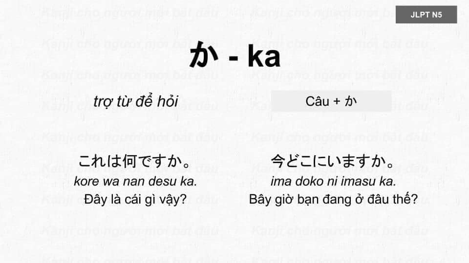 Học Trợ Từ cơ bản trong tiếng Nhật N5
